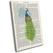 Peacock Book Nature Bird