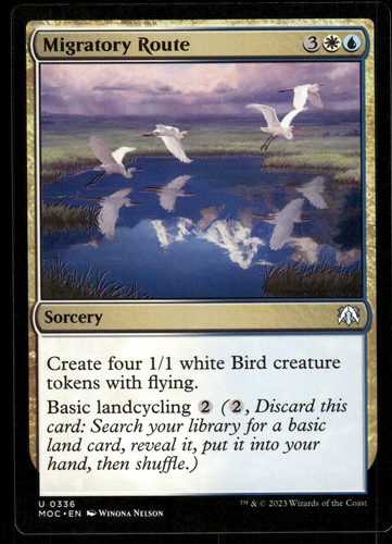 Migratory route - route,