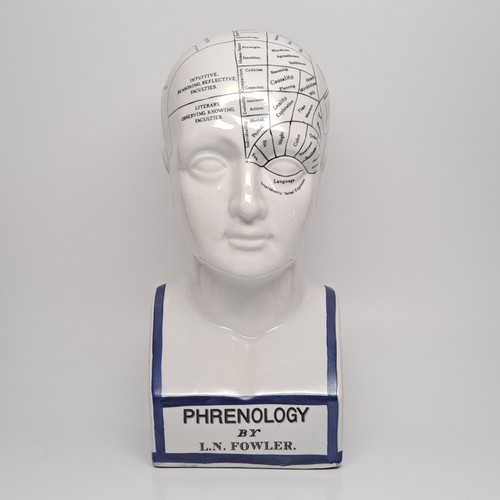 Phrenology bust l n - bust, 11.75"