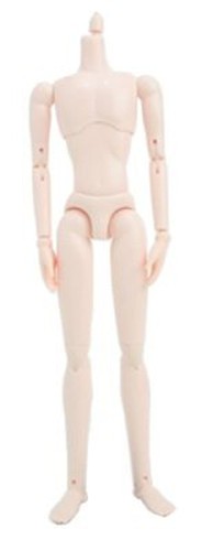 Obitsu doll 27cm - 27cm, body