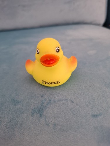Custom rubber duck for thomas - duck,