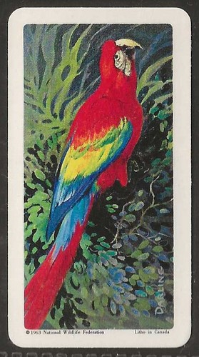 Brooke bond - brooke,