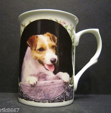 Jack Russel Terrier Dog By
