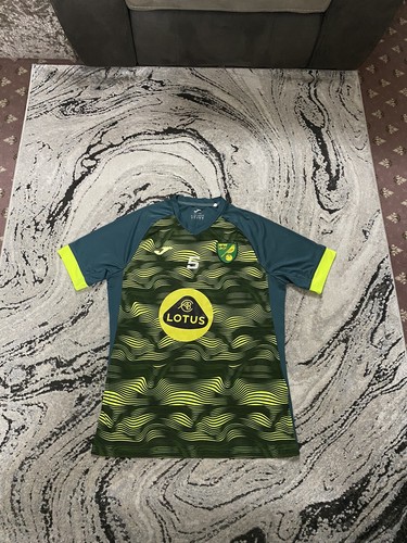 Norwich city match - norwich, worn