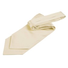 Champagne Mens Self-Tie Cravat