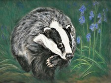 Original Art Print Badger picture Animal Painting Size A5 (8.3"×5.7") UNFRAMED