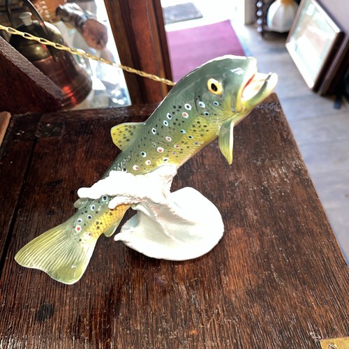 Goebel native brook - “native,