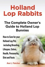 Holland Lop Rabbits The