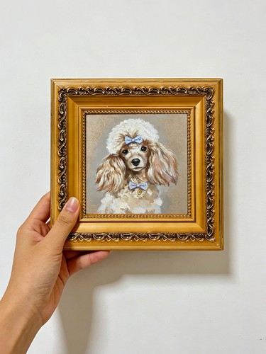 Cute poodle dog with - dog, blue