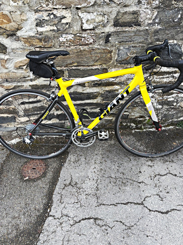Giant tcr mobile race - tcr-1,