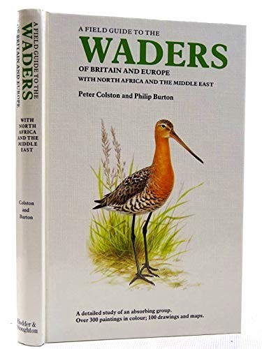 Field guide the waders of - field, to