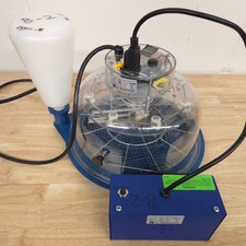 Lyon Egg Incubator Chicken