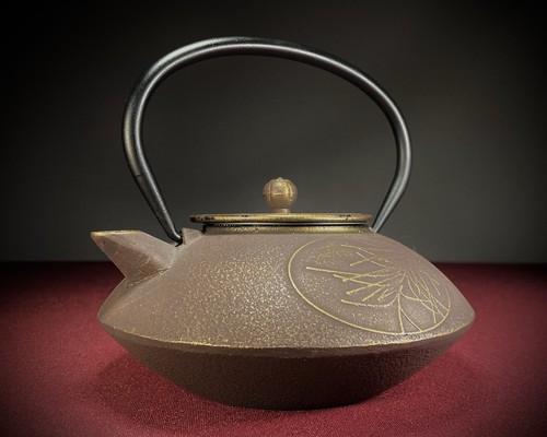 Cast iron teapot with mesh - cast,