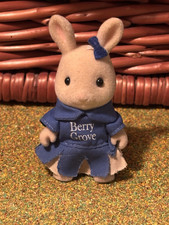 Sylvanian School Sports Day