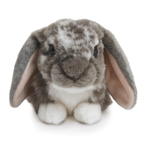 Living nature grey dutch lop - living,