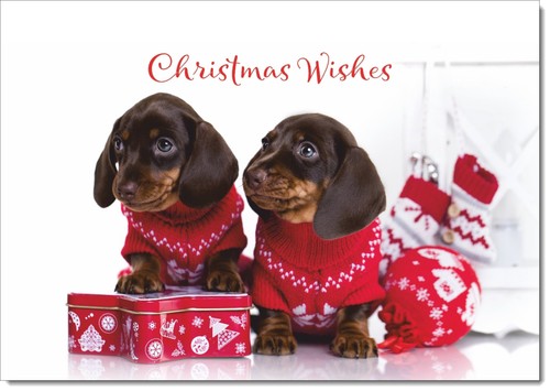 Doodlecards christmas wishes - christmas,