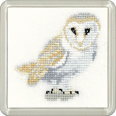 Barn owl little - barn, friends