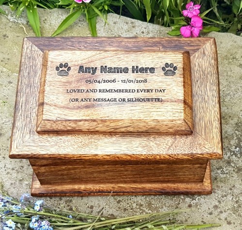 Cremation urn ashes - urn,