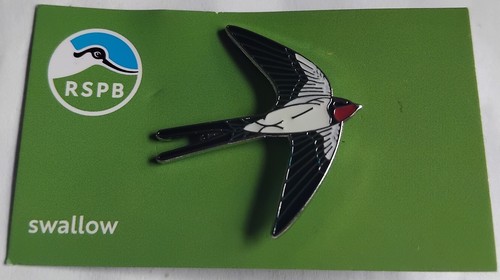 Rspb pin badge swallow on - rspb,