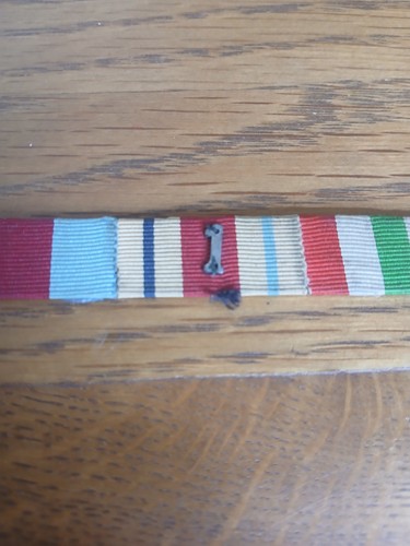 Ww2 sew medal - medal, bar
