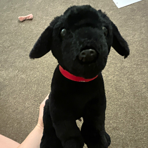 Black labrador plush stuffed - plush,