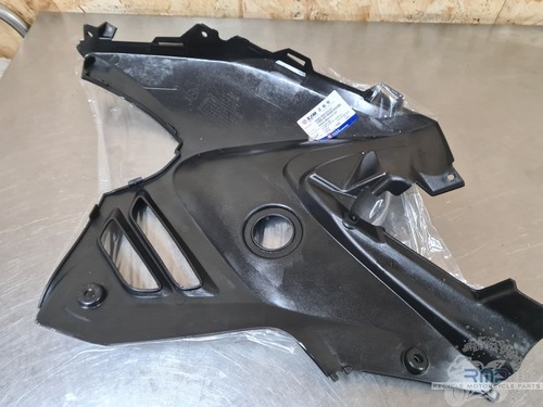 Sym quad raider - 600, fairing