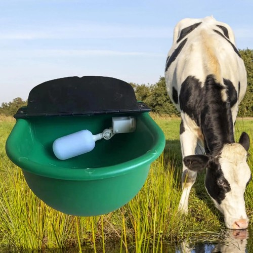 Automatic float water - float, bowl