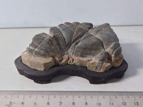 Japanese suiseki bonseki - suiseki, choja