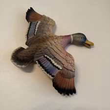 Extremely Rare Bossons Fraser