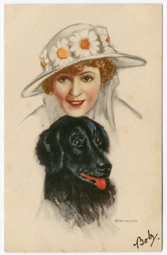 Flat coated retriever and - retriever,