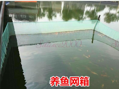 Aquaculture pond fishing - aquaculture,