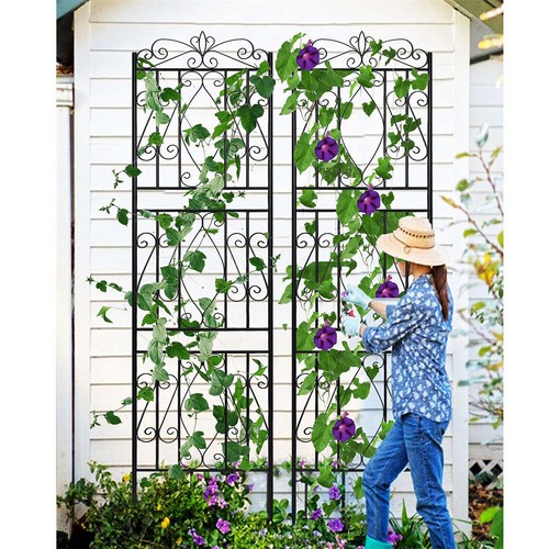 Large metal garden - garden, trellis