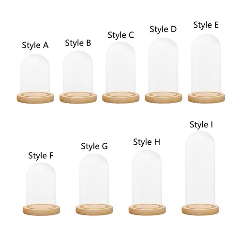Clear dome cover stand with - dome,