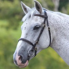 Shires Velociti GARA Fancy