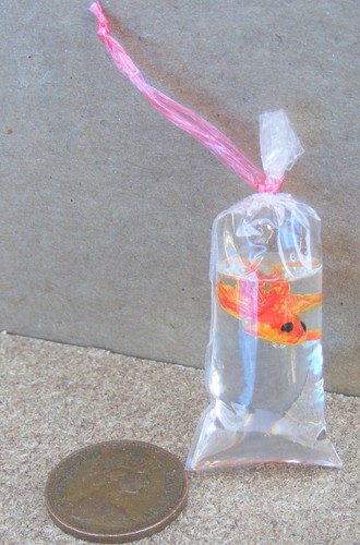 Dolls house fan tail gold - dolls, fish