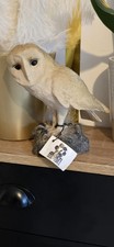 Arden Sculptures Barn Owl Tyto