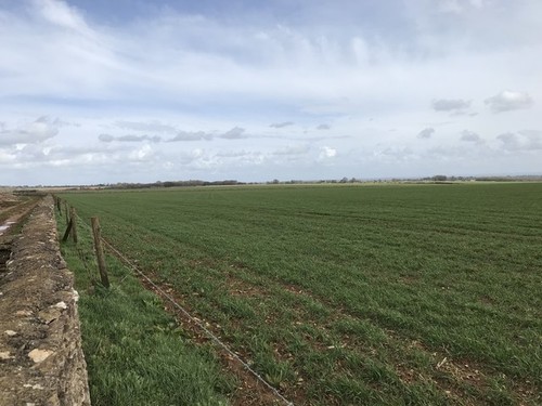 Photo 6x4 wall and farmland - photo,