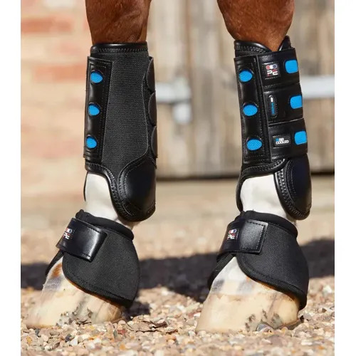 Premier equine air cooled - air,