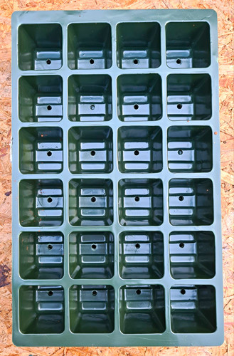 Cell seed cuttings - 8, seed,