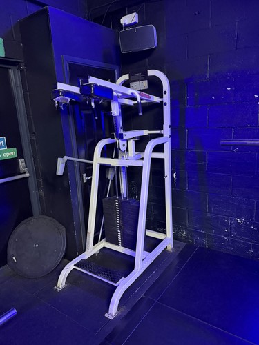 Life fitness pro standing - 1,
