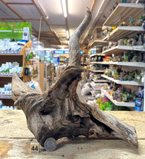 Nansei Bogwood Root Wood Aquascape Aquarium  Vivarium Driftwood