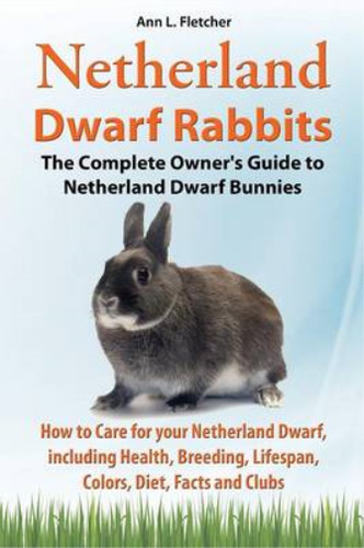 Netherland dwarf rabbits - dwarf, the
