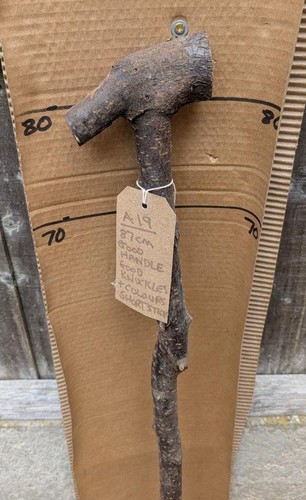 Blackthorn walking stick shank - stick,
