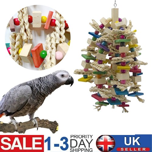 Birds cage biting - cage,