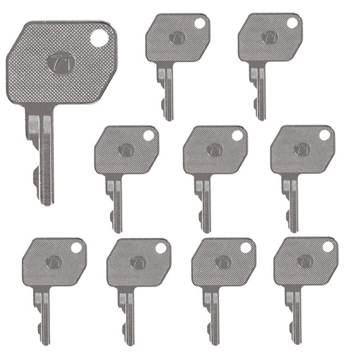 10pcs master plant - 10pcs,