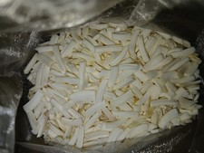 Genuine domestic rabbit teeth