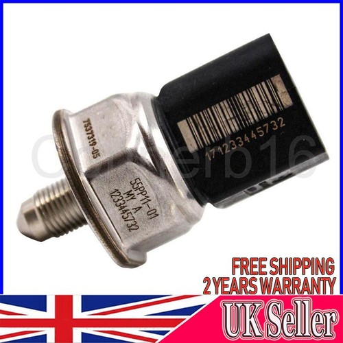 Fuel high pressure - fuel, sensor