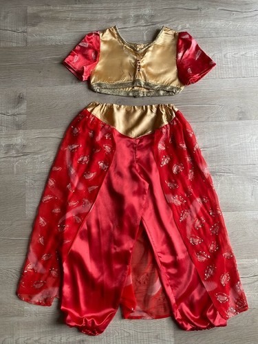 Arabian princess aladdin fancy - aladdin,