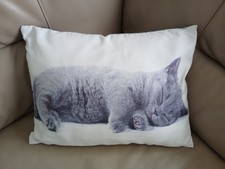 Cute Sleeping Cat Print Rectangular Cushion. 17" x 13" approx.