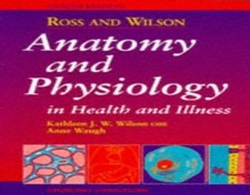 Anatomy and Physiology in